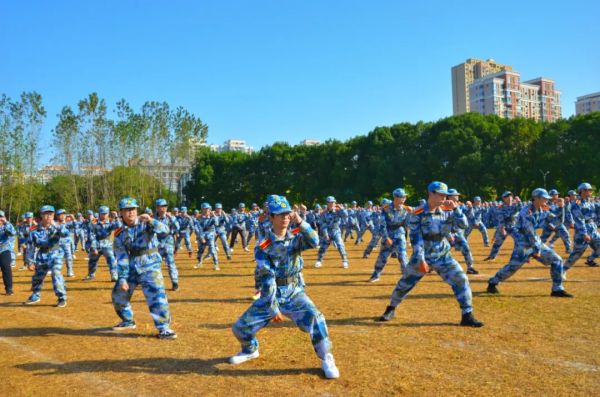 十大体育外围平台app