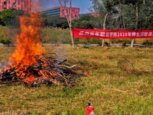 十大体育外围平台app