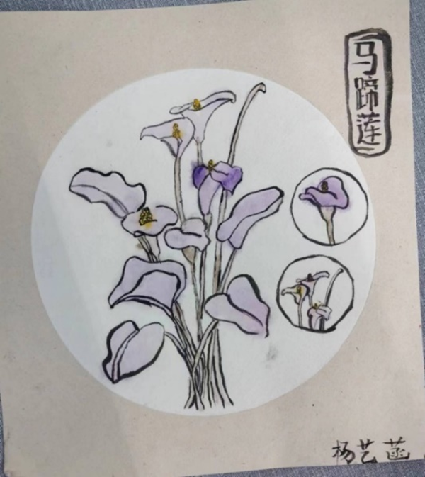 十大体育外围平台app